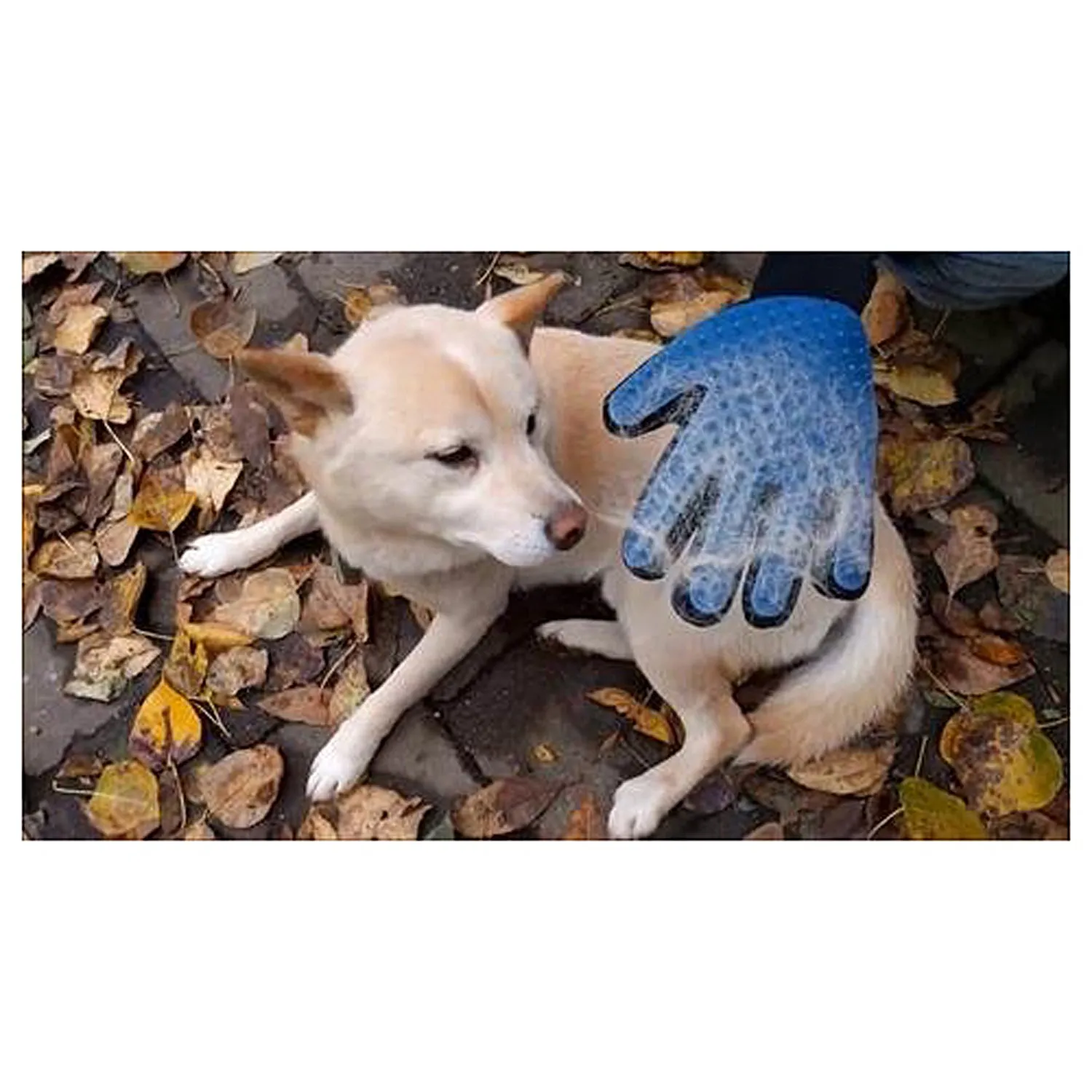 Evertone Pet Grooming Shedding Glove