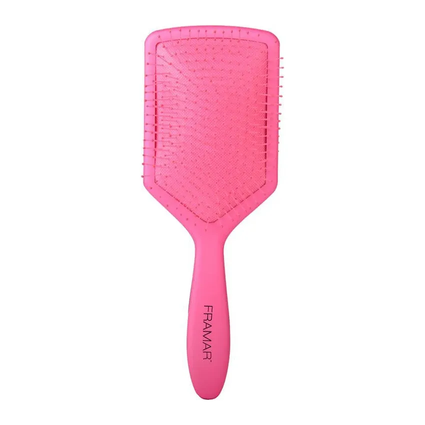 Framar Paddle Brush