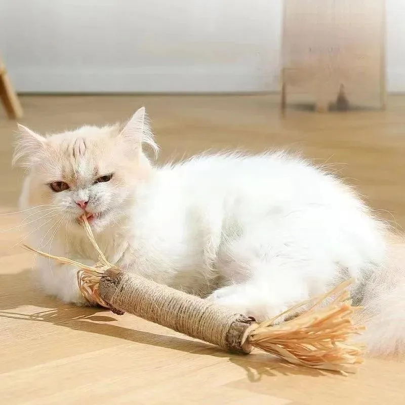 Matatabi Catnip Sticks