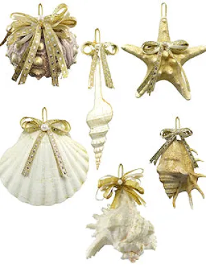 Natural Deep Sea Shells 12-Pc. Ornament Set