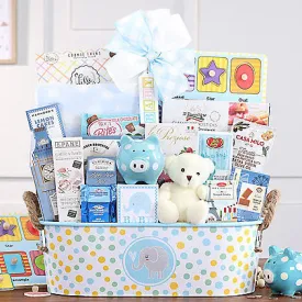 Ultimate Baby: Baby Boy Gift Basket